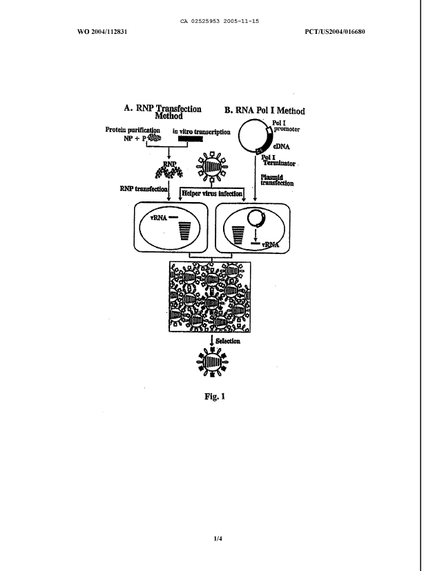 Canadian Patent Document 2525953. Drawings 20190502. Image 1 of 4